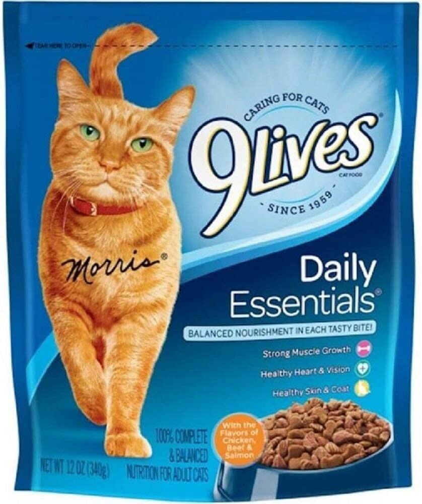 9Lives Daily Essentials Dry Cat Food 12oz