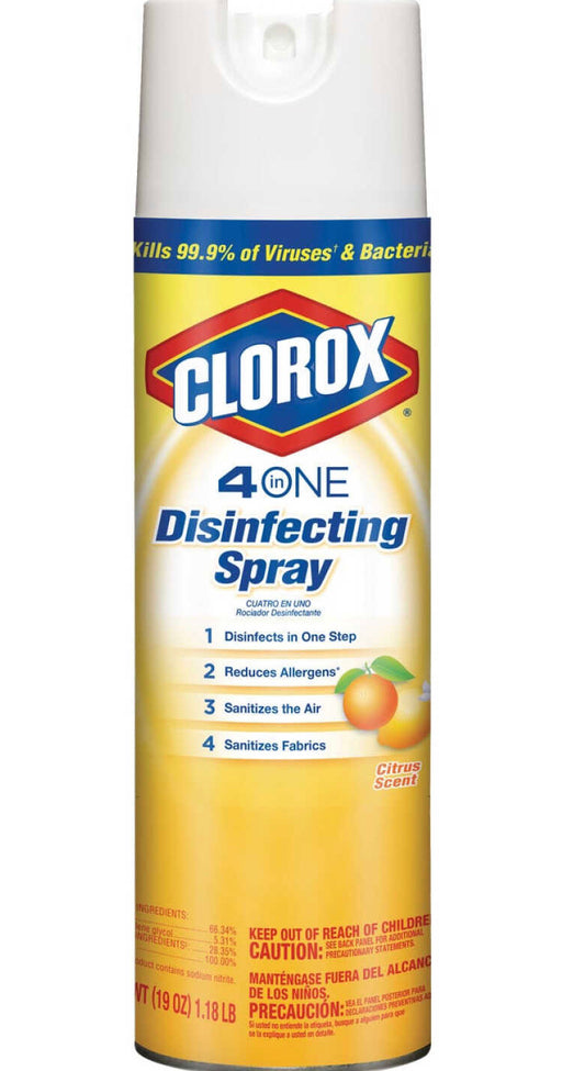 Clorox 4 In 1 Disinfecting Citrus Scent 19oz