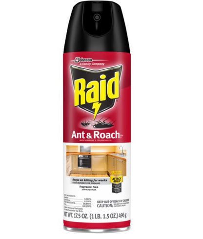 Raid Ant & Roach Killer Aerosol Fragrance Free 17.5oz