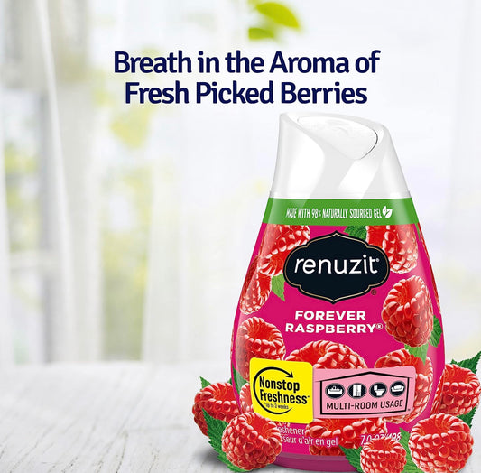 Renuzit Adjustable Solid Gel Air Freshener Forever Raspberry 7.0oz